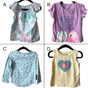 Bundle of 4 Girls' Assorted Brands Top Size 2T-3T
